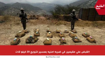 القبض على مقيمين في ضربة أمنية بعسير لترويج 20 كيلو قات